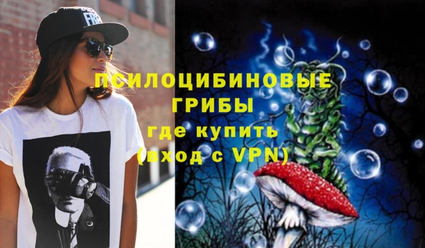 гидра Алексин