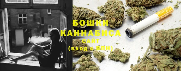 гидра Алексин